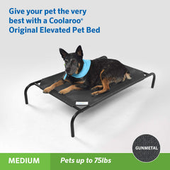 Coolaroo lit chien surélevé: tissu refroidissant pour des siestes plus fraîches.
