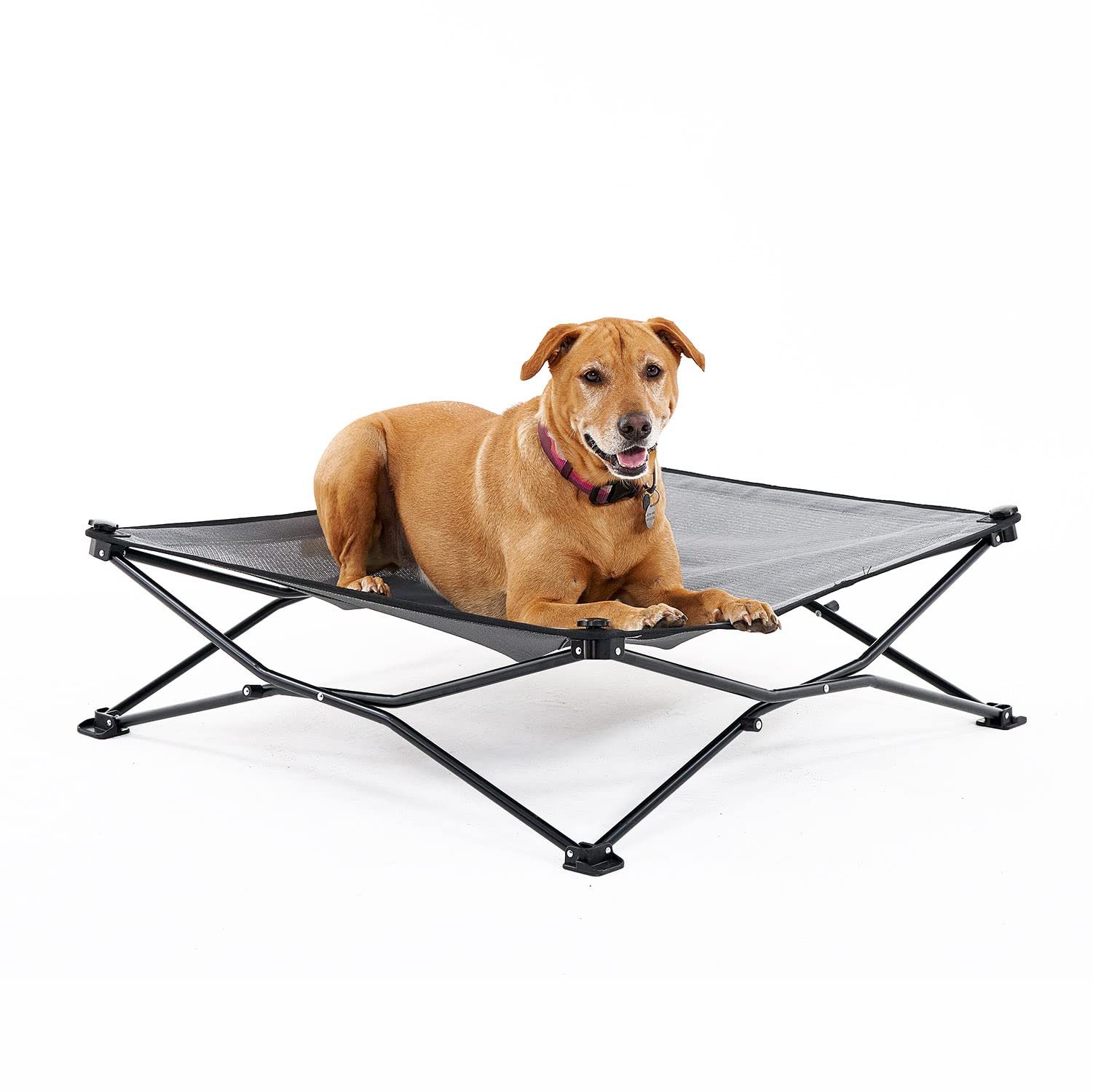 Coolaroo On-The-Go lit pour chien bed, ouverture pop-up sans outils, pratique en voyage.
