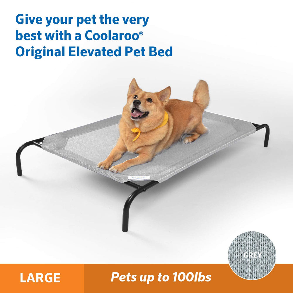 Coolaroo Original lit chien élévé soutenant les articulations.