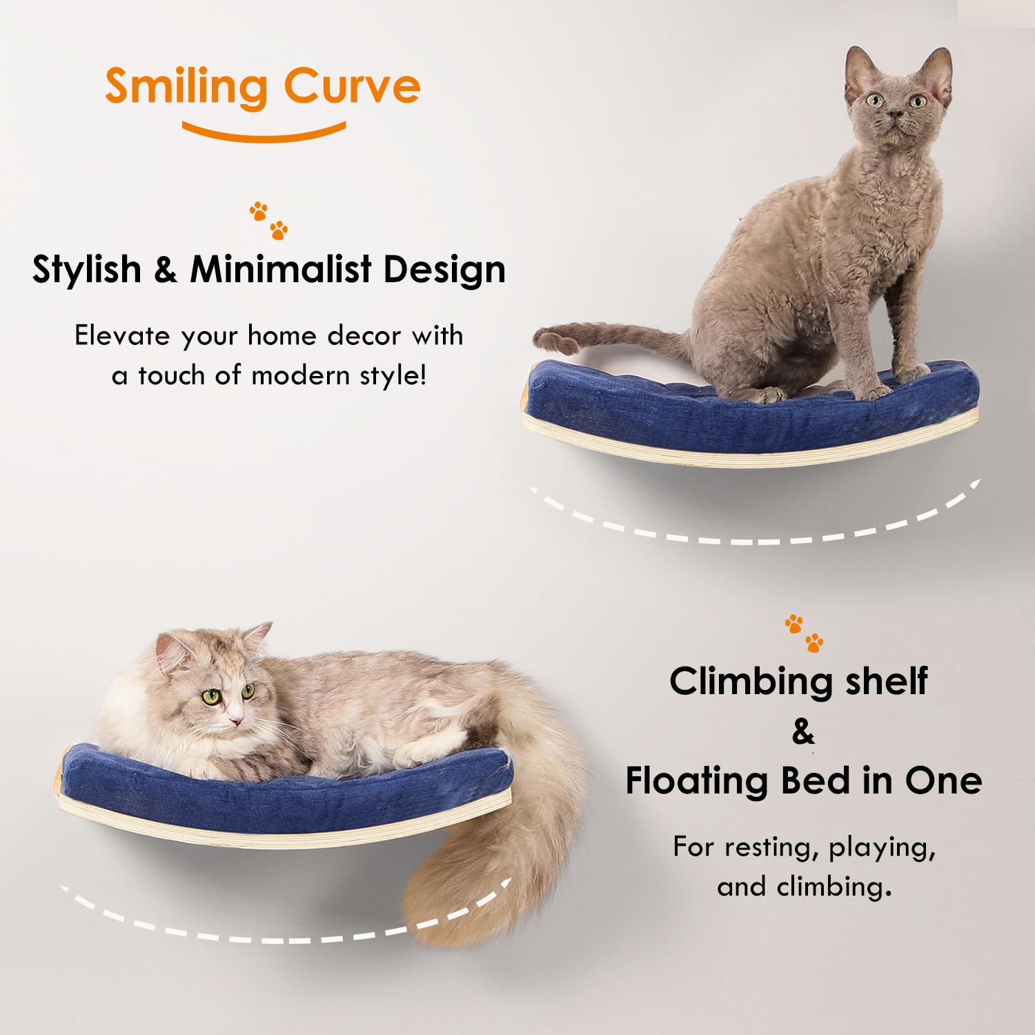 COOLEX bois solide etageres – durables et élégantes sur vos murs.
