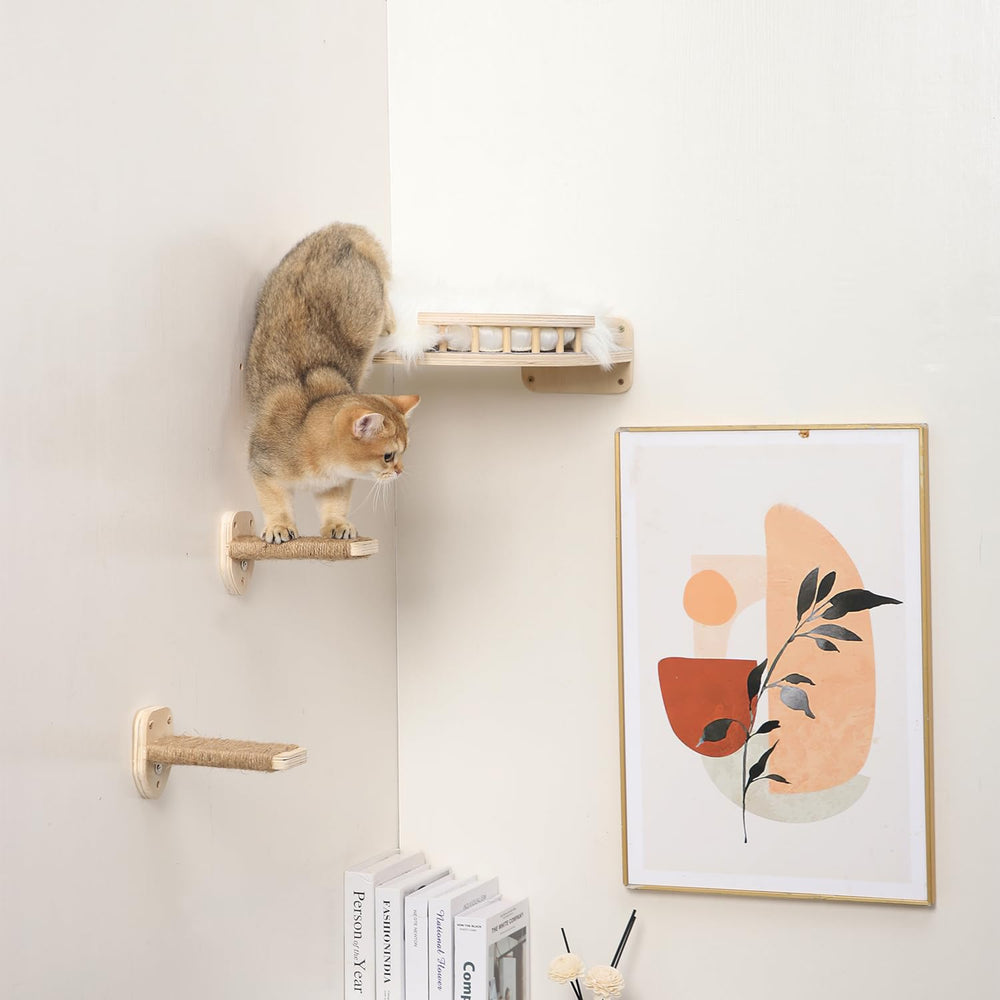 COOLEX chat profitant de l’étagère murale pour activité en intérieur.