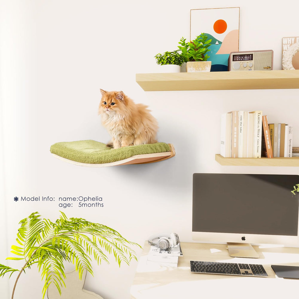 COOLEX design mural sûr et durable, décor élégant