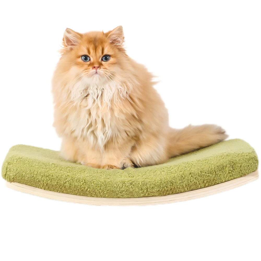 COOLEX étagères courbées pour chat, repos sûr et observation à hauteur des yeux