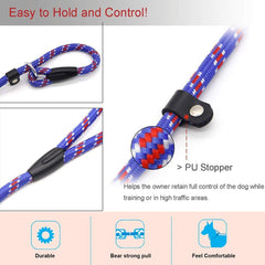 Laisse Coolrunner 2-en-1 collier-laisse, pratique et simple.