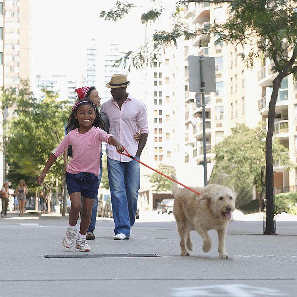 Promenade avec la laisse Coolrunner nylon rouge, pratique et sûre.