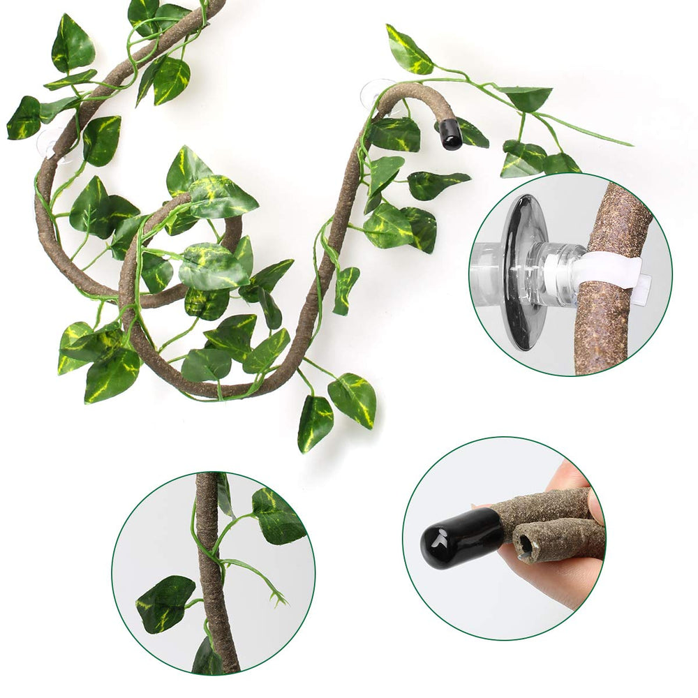 Coolrunner ventouses-terarium: fixation sécurisée sur les parois pour décor stable.