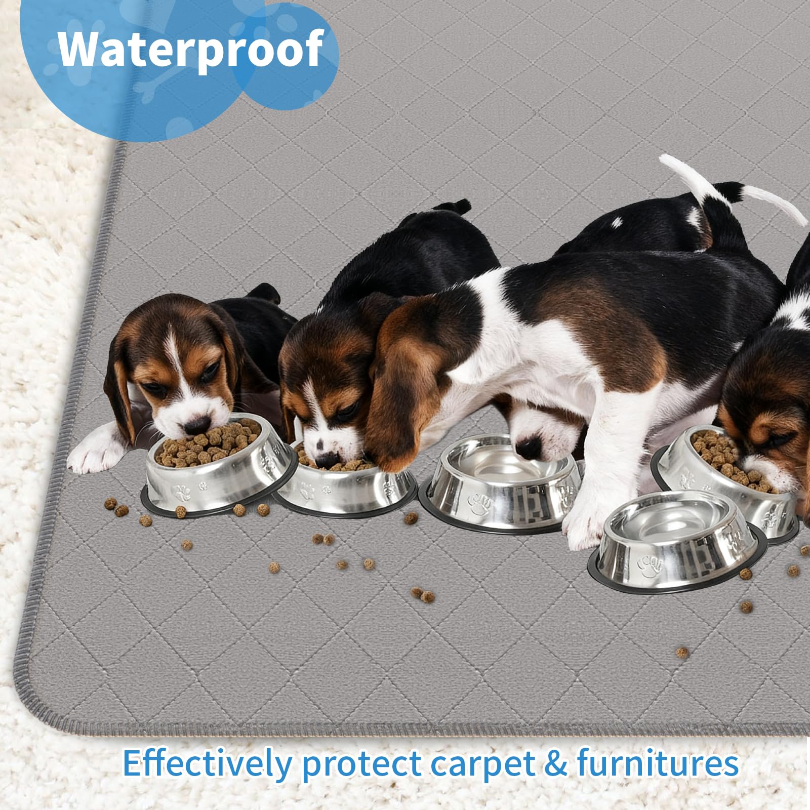 CoolShields protection-meubles-chiens : evite les degats sur canape et sol.