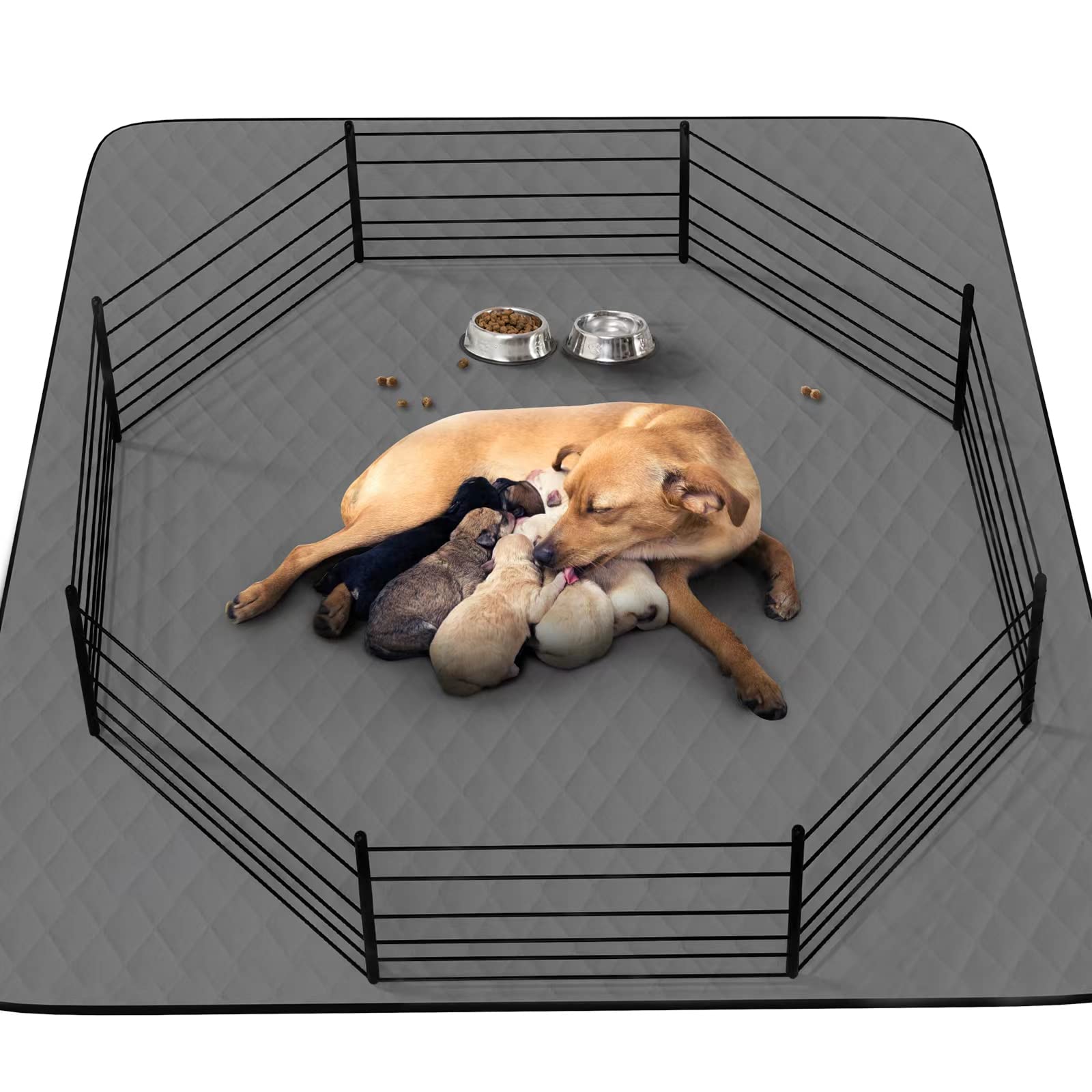 CoolShields tapis-pipi chiot-48x65 : tapis absorbant idéal pour l'apprentissage.