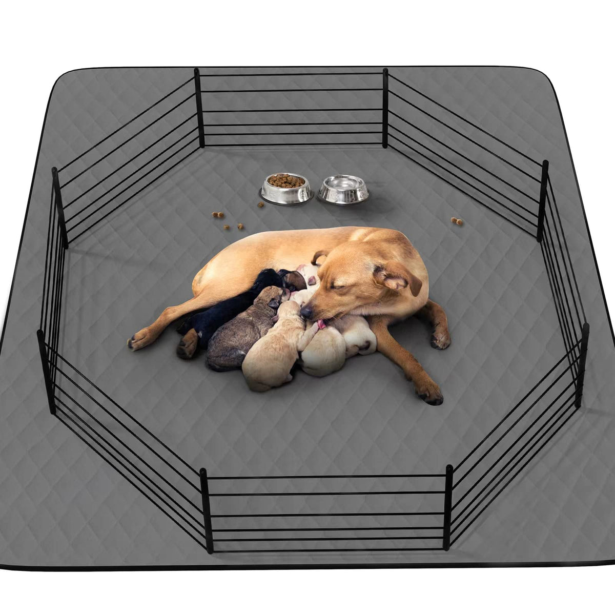 CoolShields tapis-pipi chiot-48x65 : tapis absorbant idéal pour l'apprentissage.