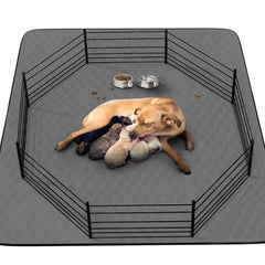 CoolShields tapis-pipi chiot-48x65 : tapis absorbant idéal pour l'apprentissage.