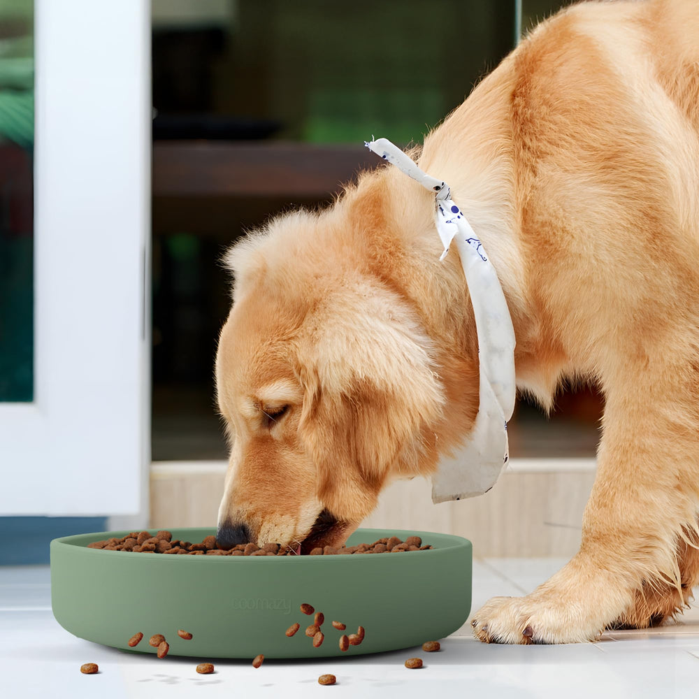 Coomazy bol d'utilisation quotidienne, parfait pour grands chiens et sessions de repas.