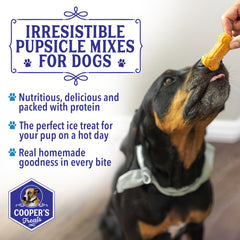 Préparation rapide de friandises glacées pour chiens avec Pupsicle Mix