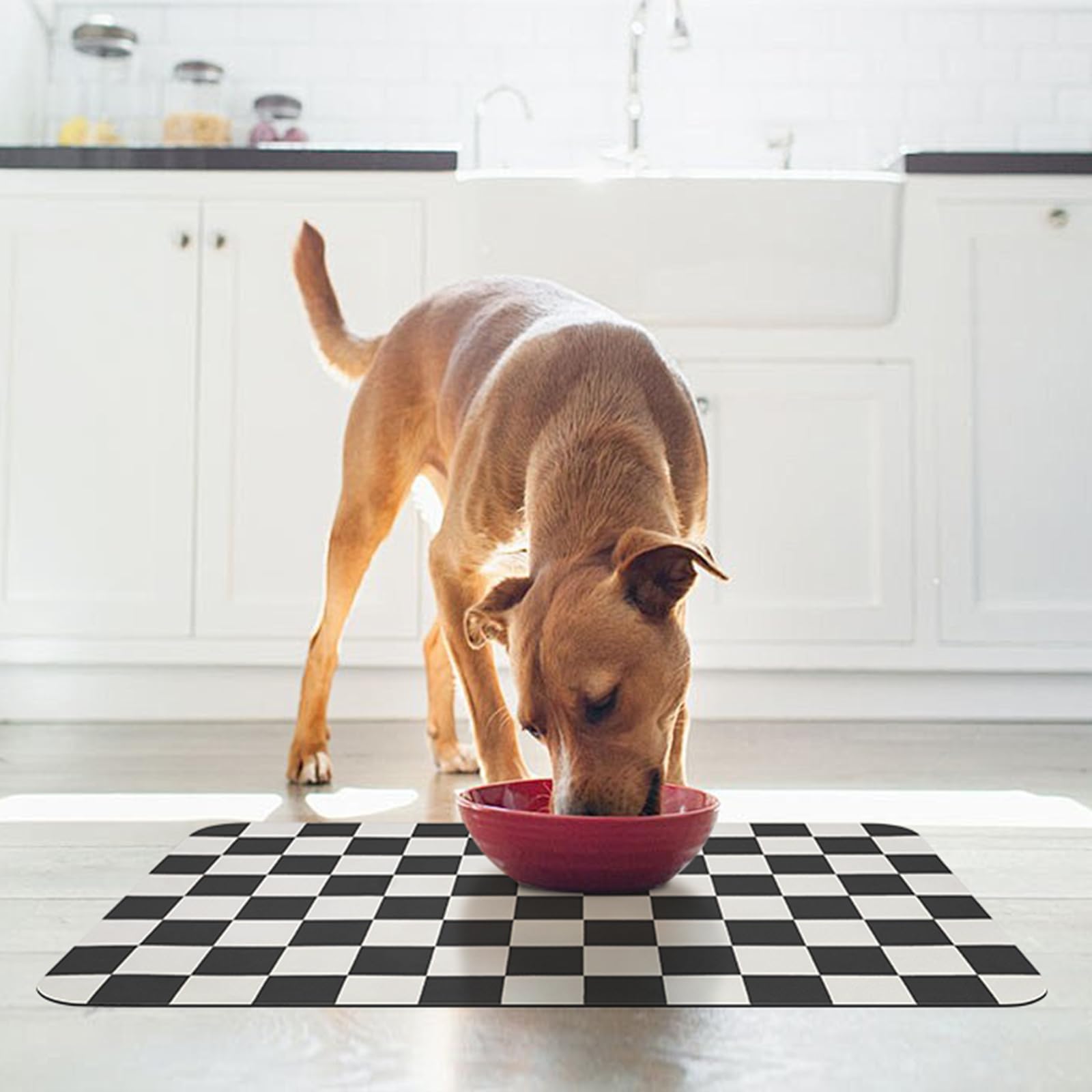 CooRug tapis-nourriture-chien-antidérapant: base anti-dérapante assure une stabilité pendant les repas.
