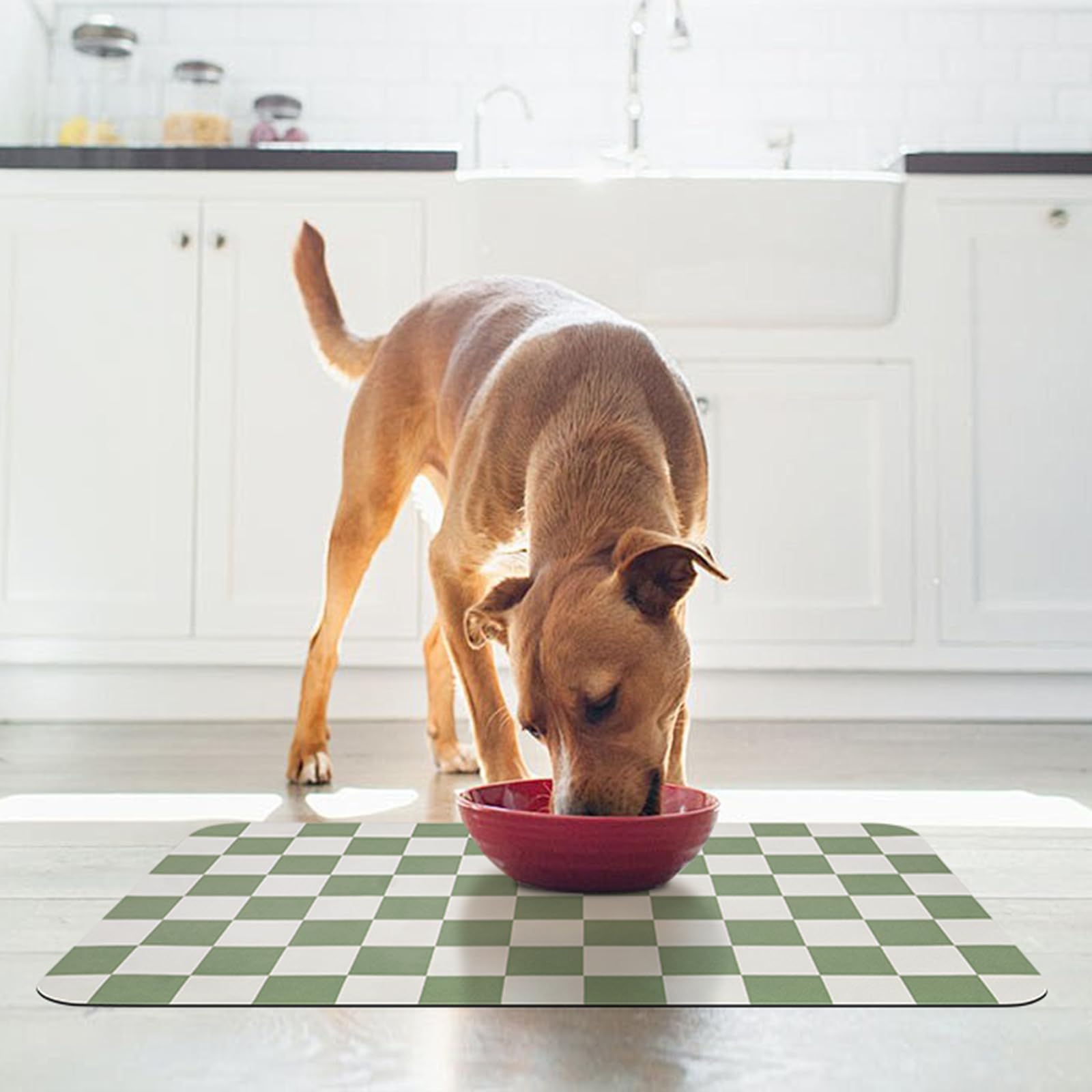 Tapis CooRug polyvalent pour chiens et chats, zone de repas pratique.