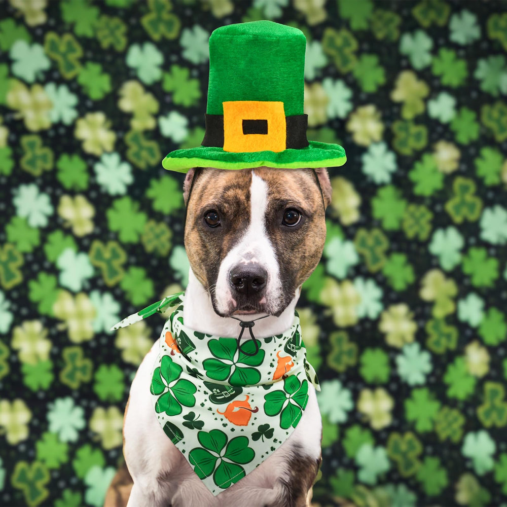 CooShou allure festive Saint-Patrick adaptée au quotidien.