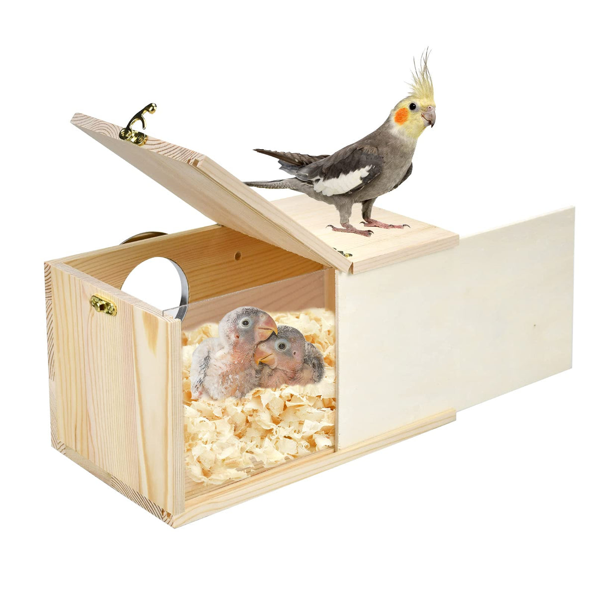 Nid Cooshou en pin naturel avec verre transparent pour observation facile dans la cage