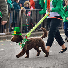 CooShou chapeau lutin irlandais vert, accessoire amusant pour animaux.