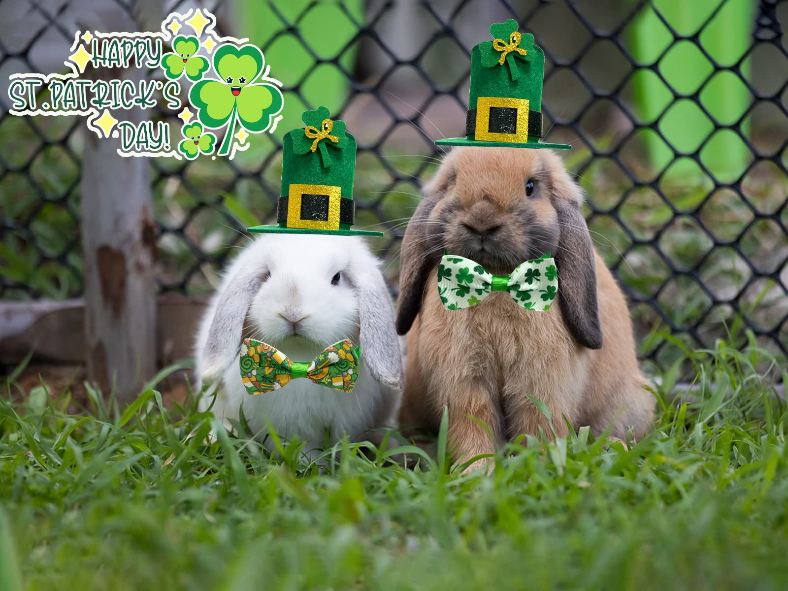 Ensemble Saint-Patrick Cooshou quatre pièces, idéal pour des tenues coordonnées.