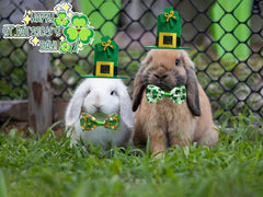Ensemble Saint-Patrick Cooshou quatre pièces, idéal pour des tenues coordonnées.