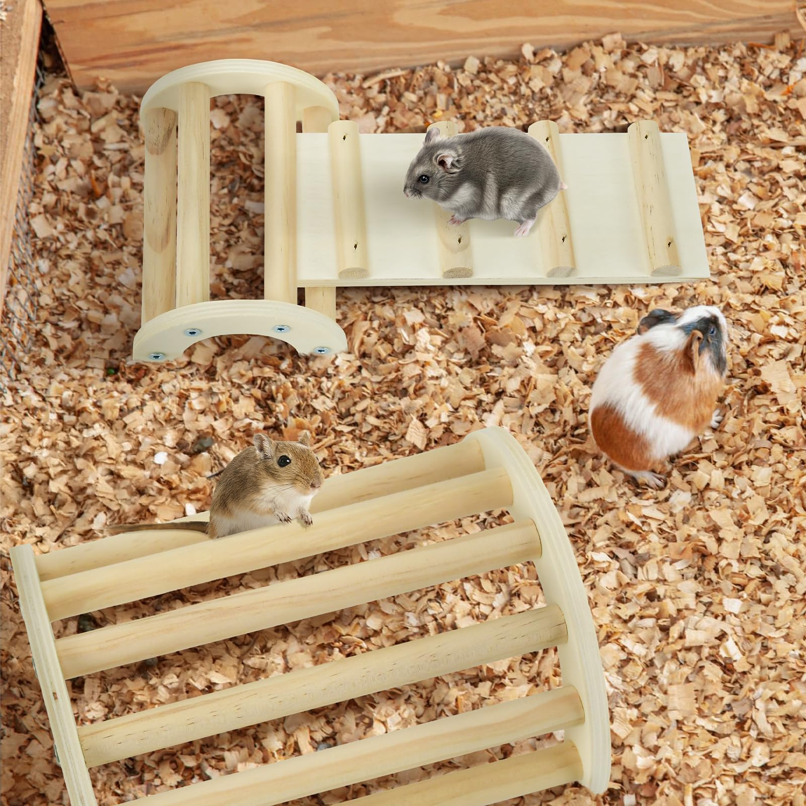 CooShou jouet de cage, favorise les activités physiques et la dentition.