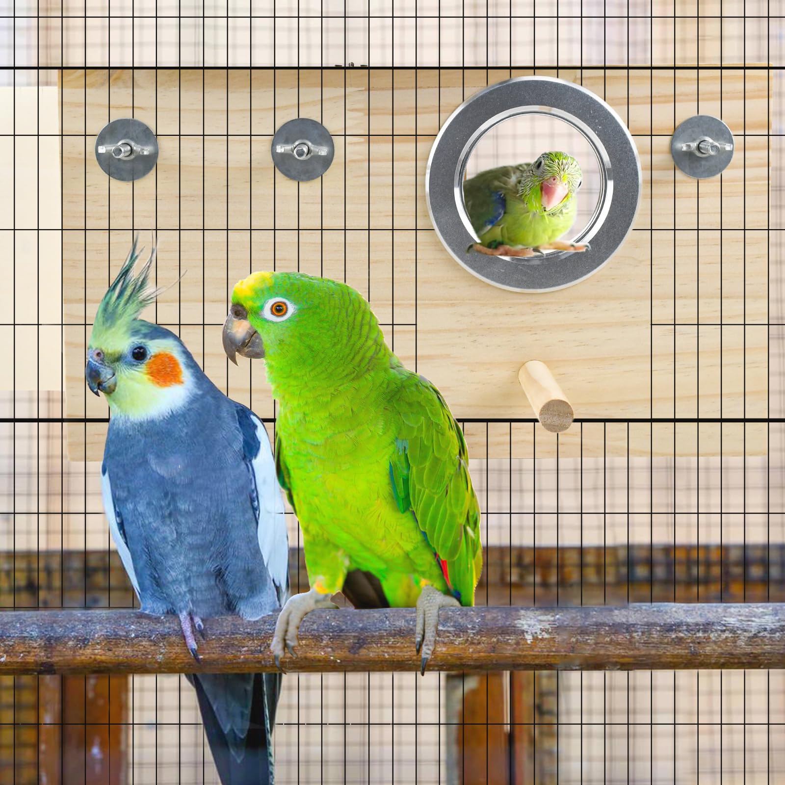 CooShou nid d'élevage compact, idéal pour petits oiseaux.