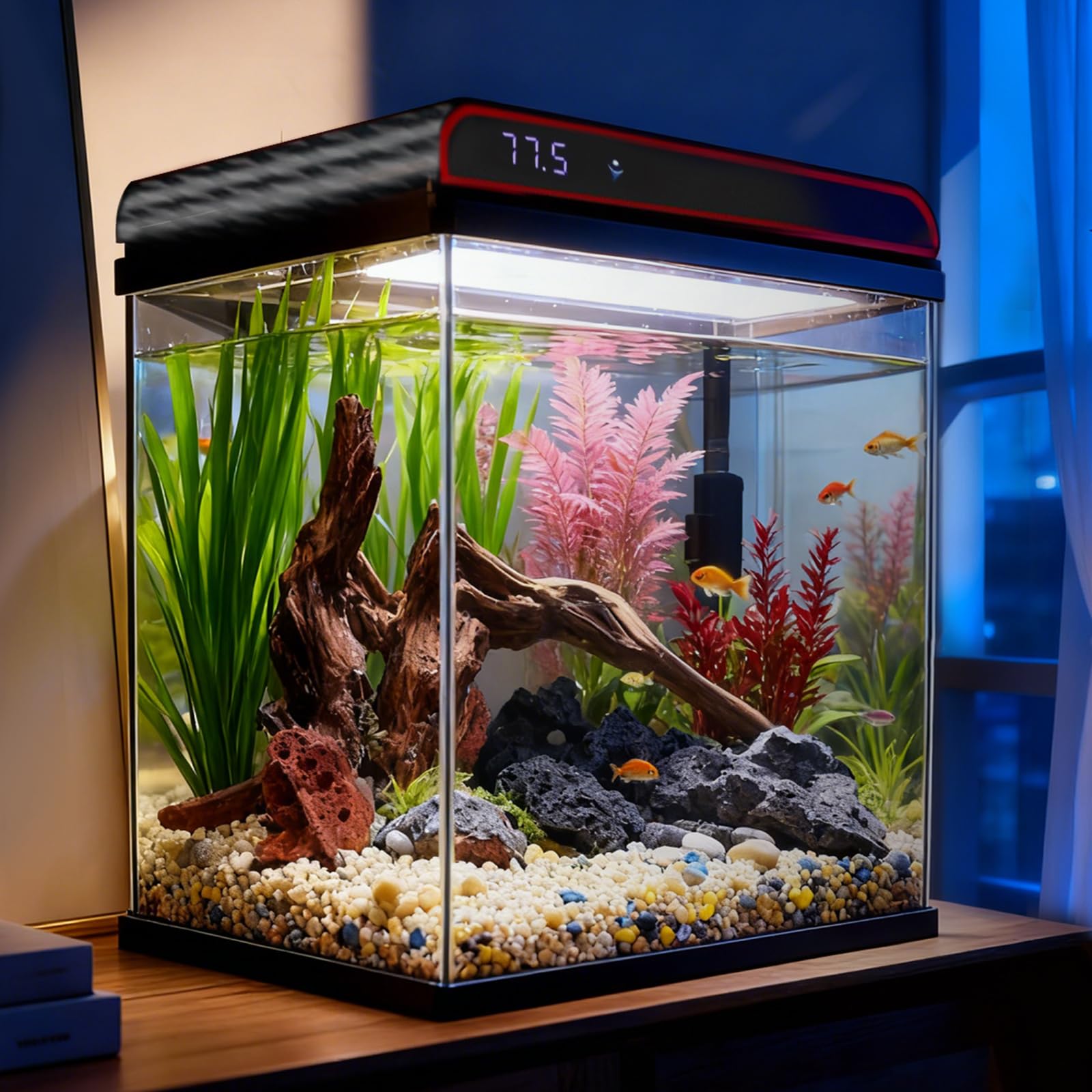 COOSPIDER aquarium 5 gallons avec verre ultra clair pour une vue nette