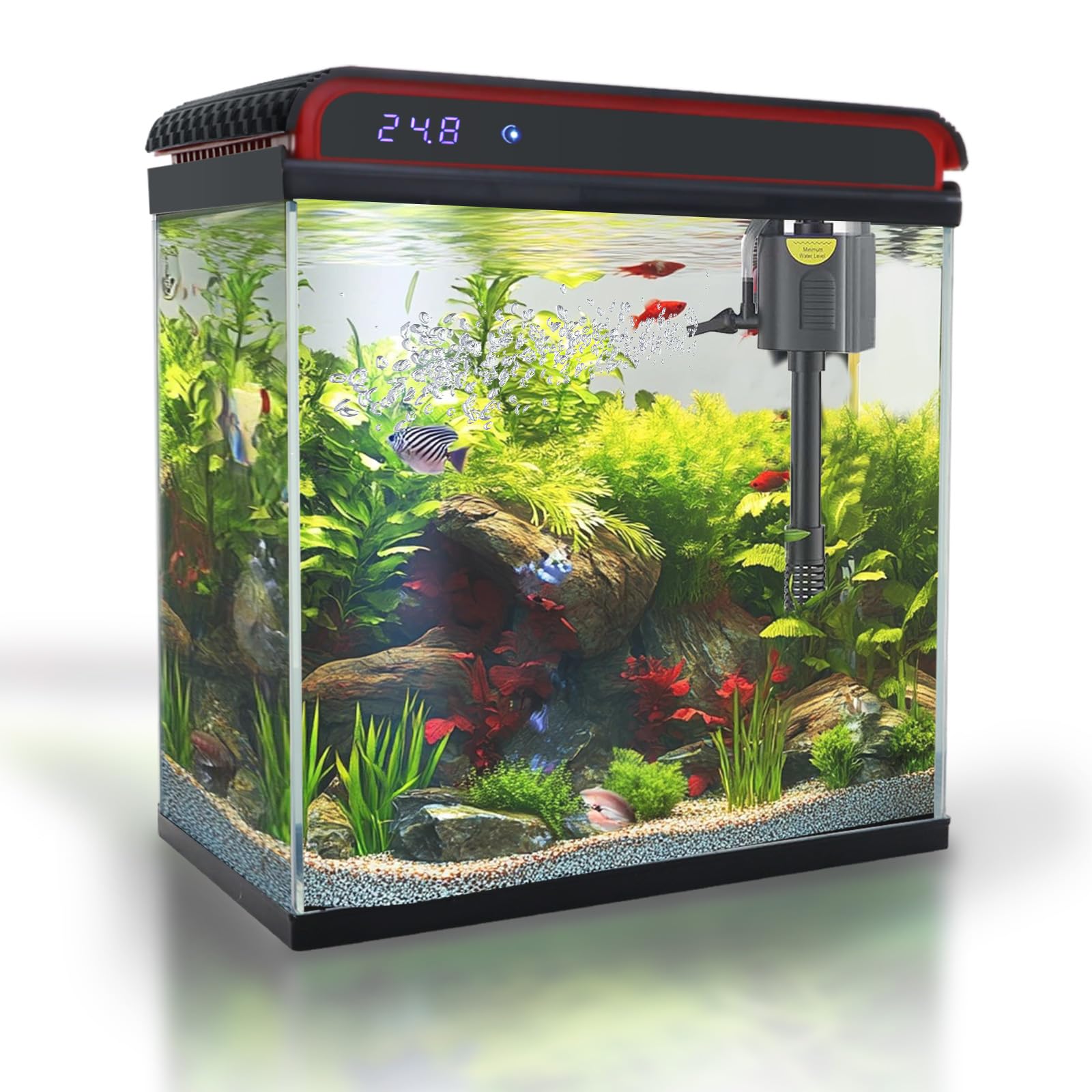 COOSPIDER Aquarium en verre, vue nette pour observer poissons et crevettes.