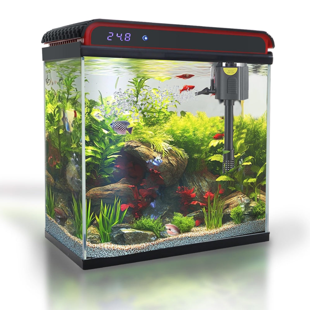 COOSPIDER Aquarium en verre, vue nette pour observer poissons et crevettes.