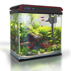 COOSPIDER Aquarium en verre, vue nette pour observer poissons et crevettes.