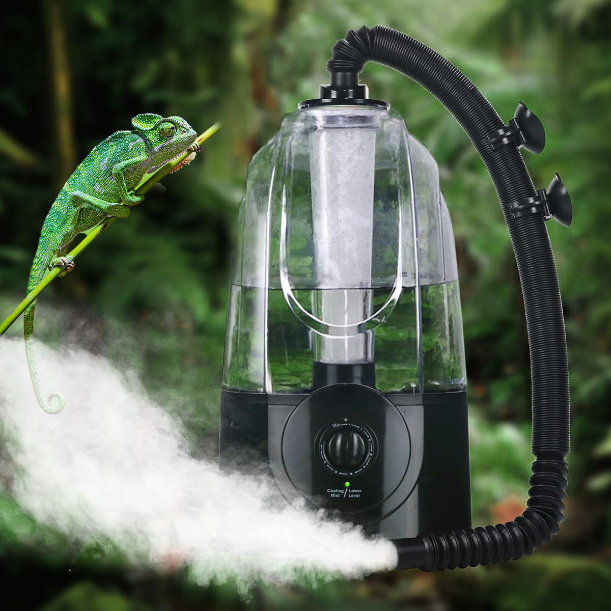 COOSPIDER nebulisateur-terarium 3,8 L, capacité adaptée pour terrarium 10-40 gal.