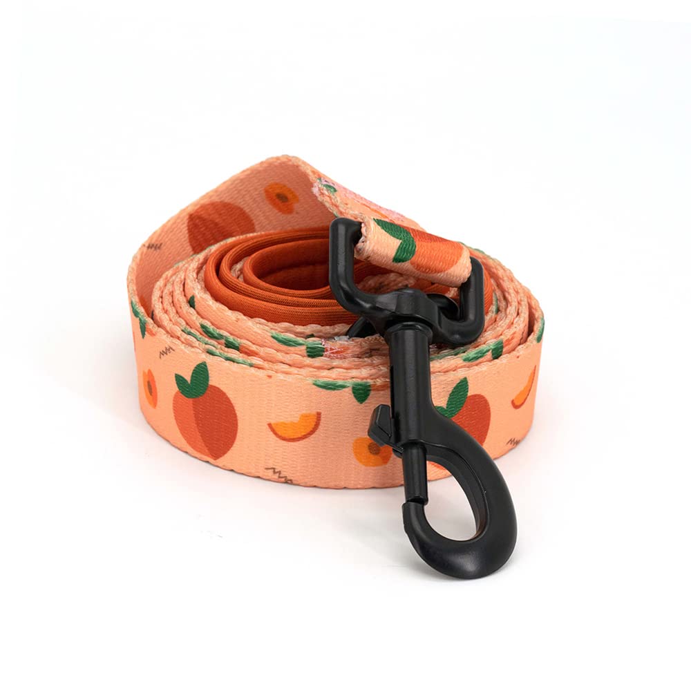 Ensemble harnais et laisse COOWONE, qualité durable
