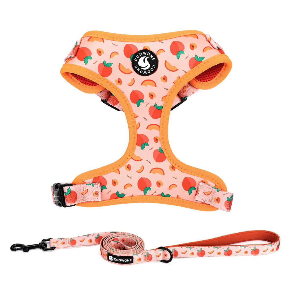 Harnais COOWONE pour chien avec imprimé coloré, léger et confortable.