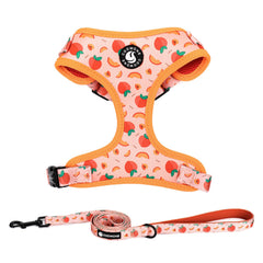 Harnais COOWONE avec motif coloré pour chien, confort assuré