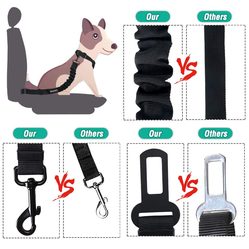COOYOO attache-rotation-360 garantit mouvement fluide et confort du chien
