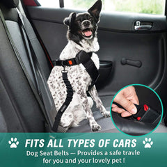 COOYOO boucle métallique robuste pour chien auto, fixation fiable.