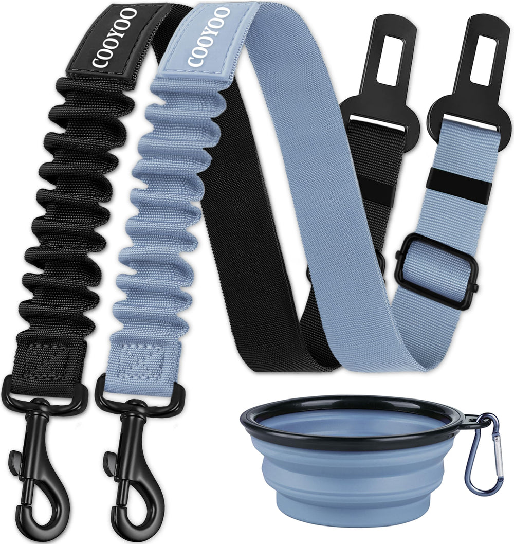 COOYOO ceinture chien auto avec amortisseur, sécurité et confort pendant les trajets.