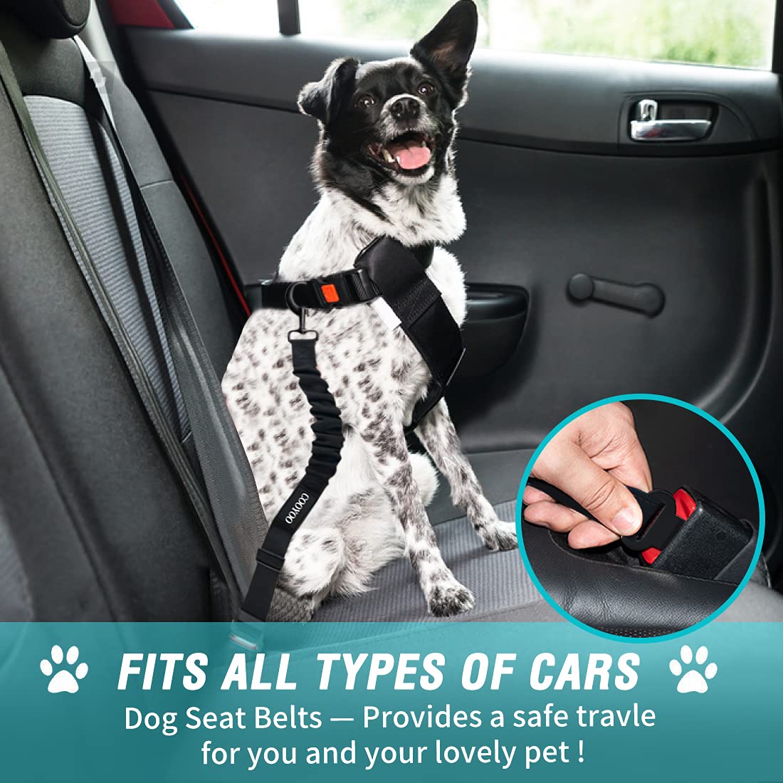 COOYOO ceinture chien voiture amortisseur élastique pour trajets plus confortables.