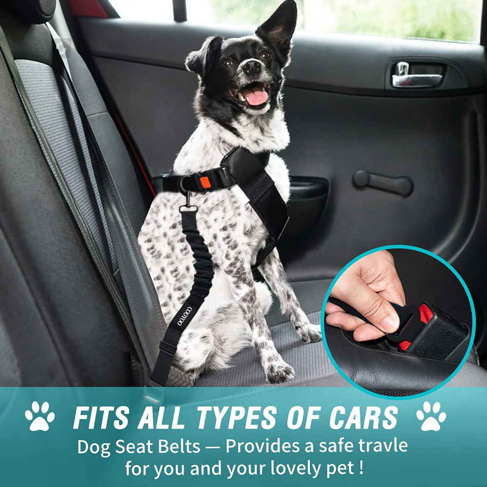 COOYOO ceinture chien voiture amortisseur élastique pour trajets plus confortables.