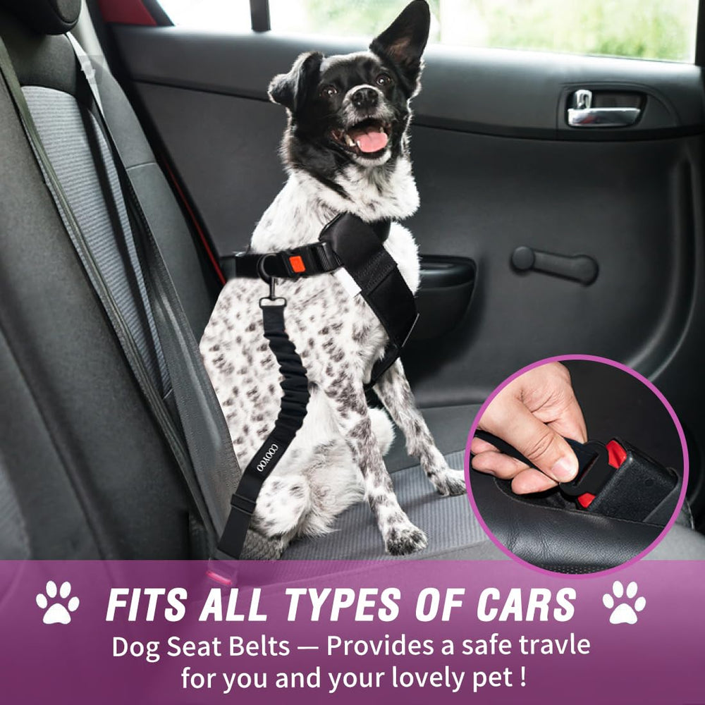 COOYOO Dog Seat Belt pack garantie qualité et tranquillité.
