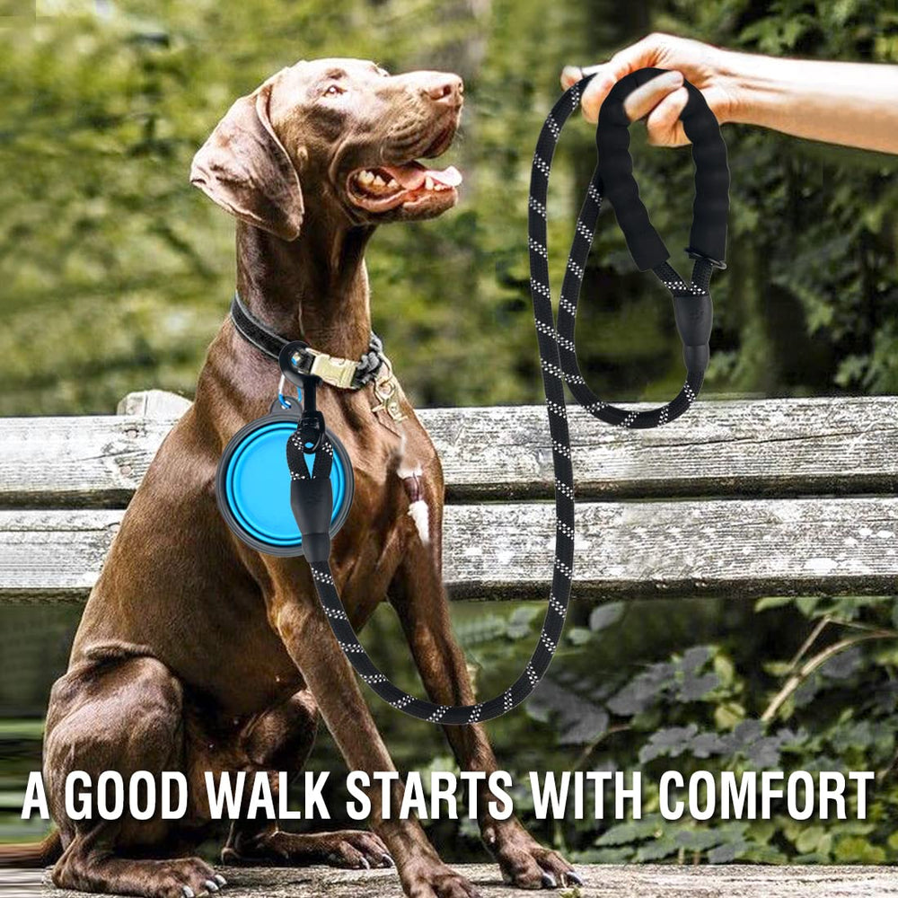 Laisse COOYOO réfléchissante pour promenades nocturnes en sécurité.