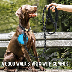 Laisse COOYOO réfléchissante pour promenades nocturnes en sécurité.
