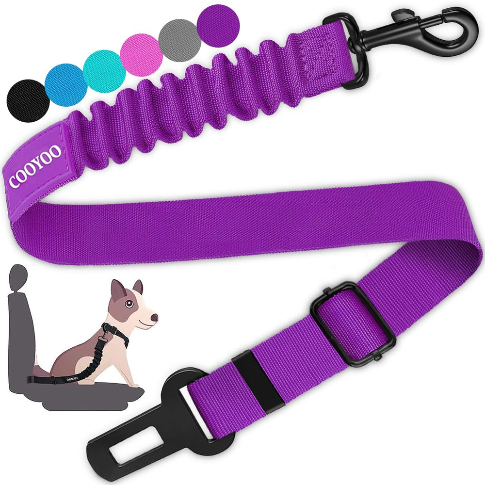 COOYOO ceinture de sécurité chien, fixation sécurisée en voiture.