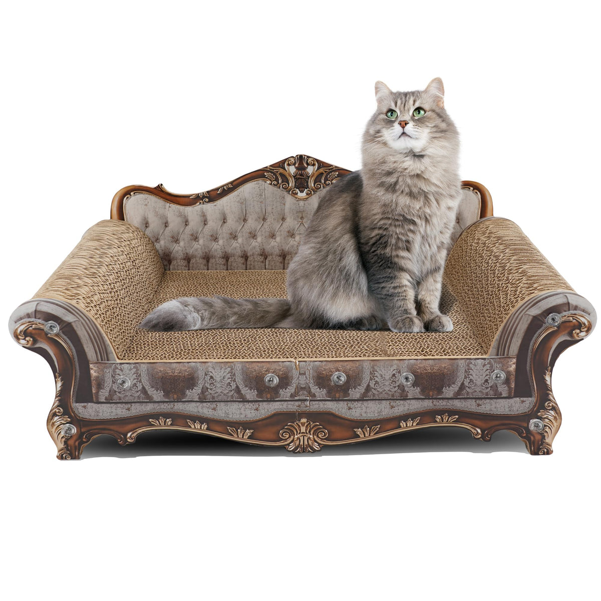 COOZMENT Canapé-griffage chat: zone dédiée pour affûter les griffes en sécurité.