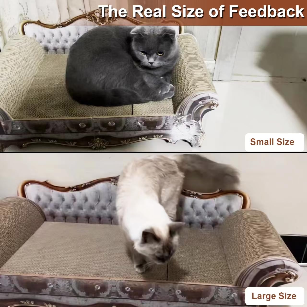 COOZMENT Usage intérieur: espace de repos et jeux pour chat.