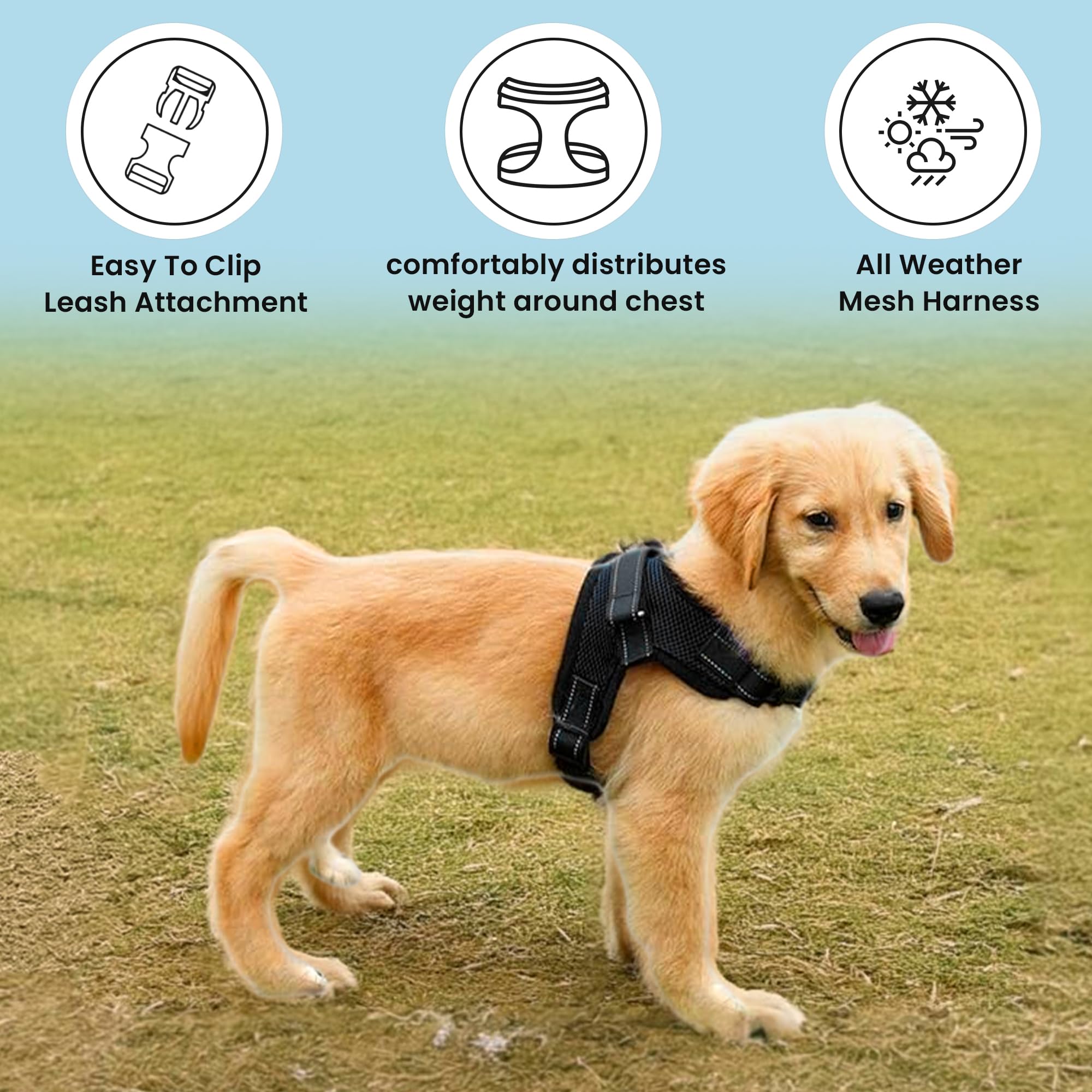 Copatchy harnais-ajustable-tout-tailles pour chien en croissance.