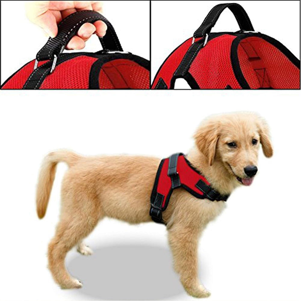 Harnais Copatchy anti-tir rembourré pour chiens actifs.