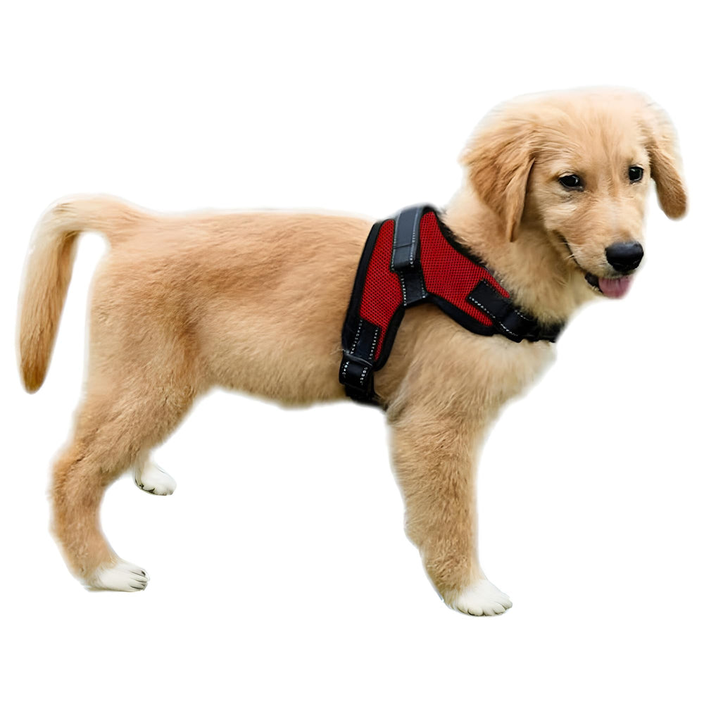 Harnais Copatchy anti-tirage avec réflecteur et poignée pour le contrôle lors des promenades.