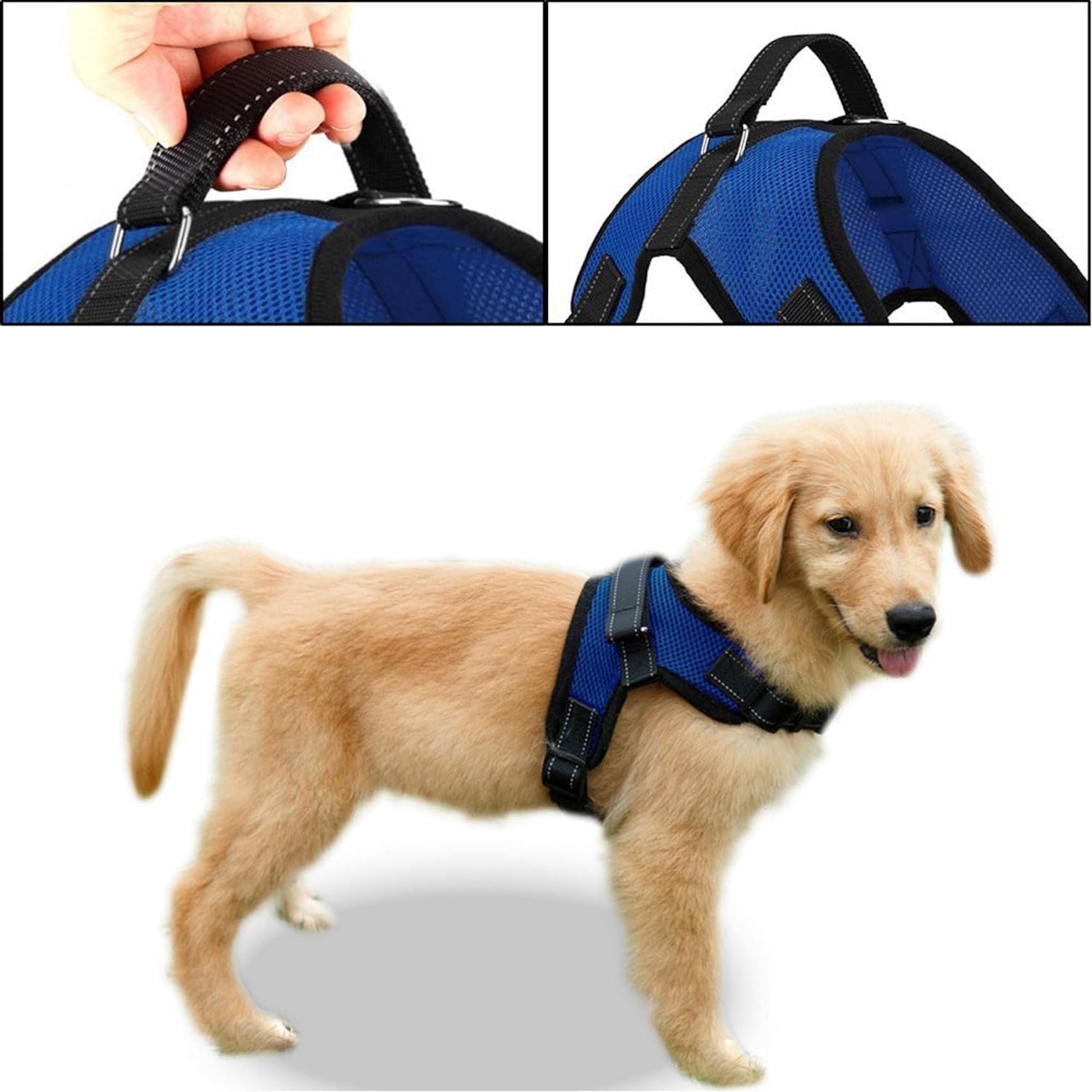 Harnais Copatchy bleu pour chien, léger et confortable.