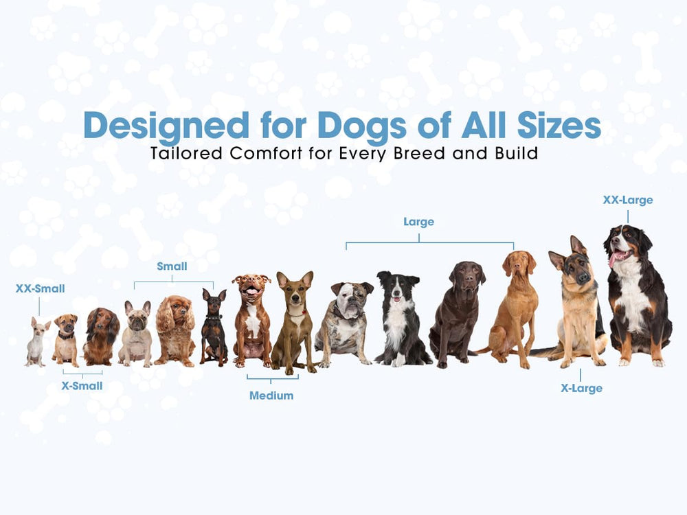 Harnais Copatchy en mesh respirant pour usage toute l'année.
