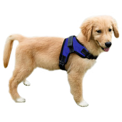 Harnais Copatchy réfléchissant anti-tirage avec poignée pour promenade contrôlée.